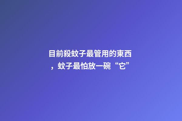 目前殺蚊子最管用的東西，蚊子最怕放一碗“它”